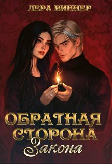 Обратная сторона закона - Лера Виннер