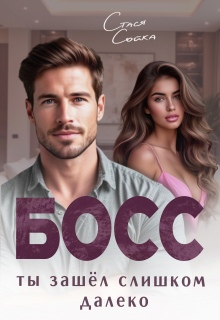 Босс. Ты зашёл слишком далеко - Стася Сойка