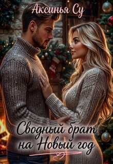 Сводный брат на Новый год - Аксинья Су